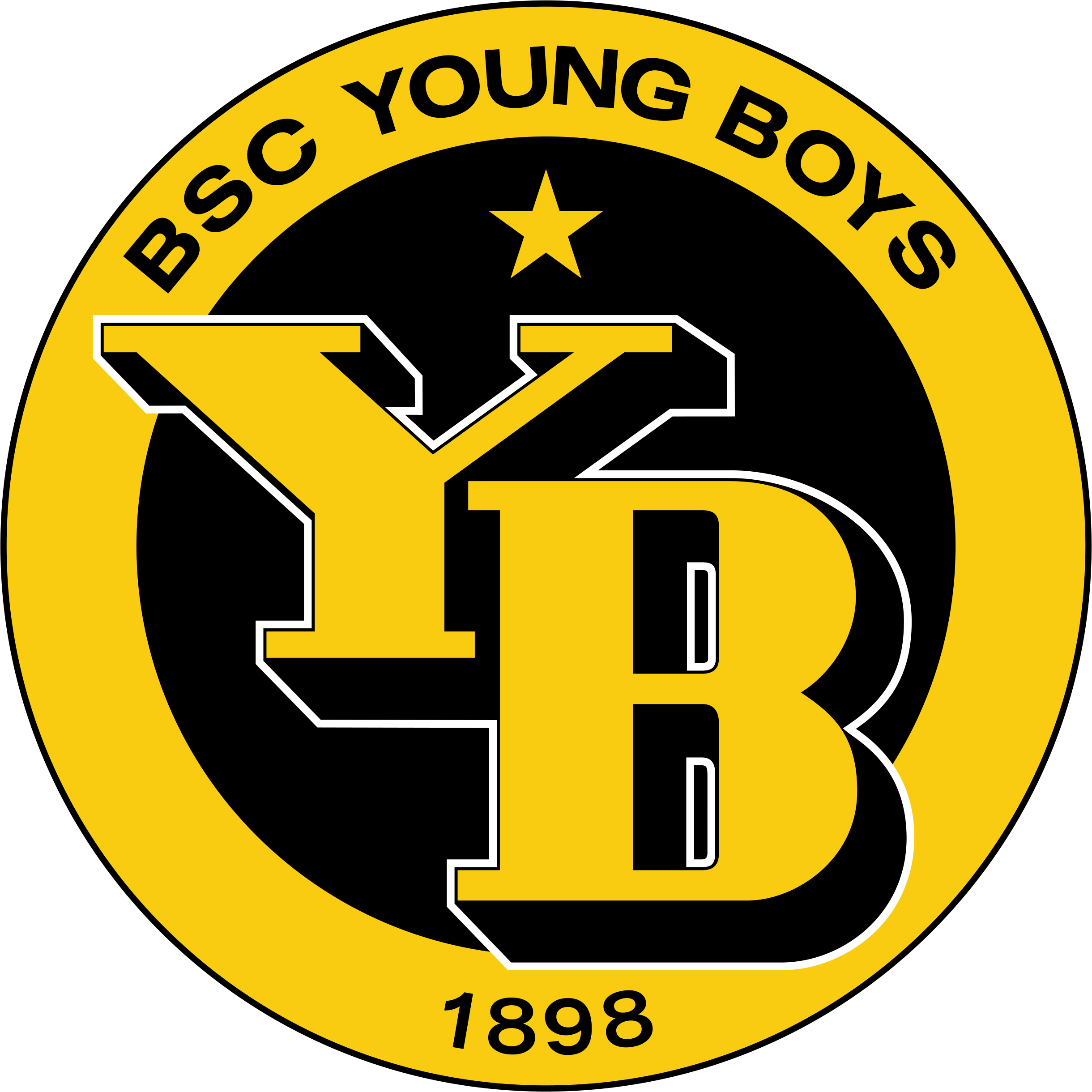 Berner Sport Club Young Boys